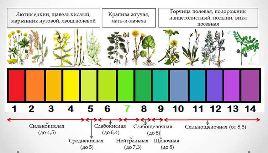 как закислить почву удобрениями