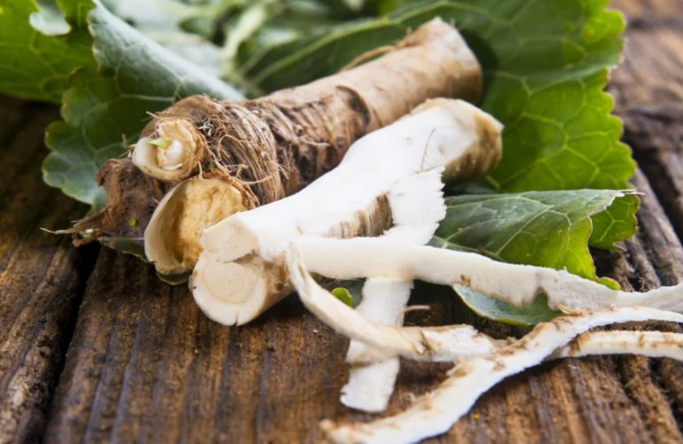 Применение хрена в кулинарии и медицине: секреты пользы и вкуса