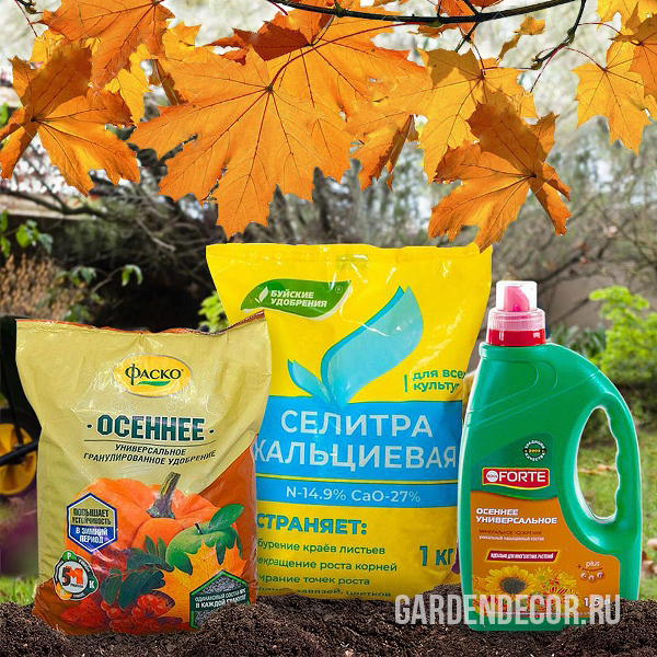 лучшее удобрение для почвы осенью